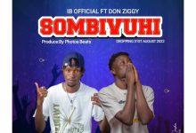 IB Official – Sombivuhi ft. Don Ziggy cover art