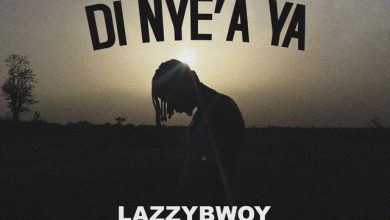 Lazzybwoy - Di Nye'a Ya cover art