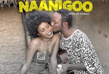 Lazzybwoy - Naanigoo cover art