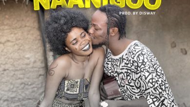Lazzybwoy - Naanigoo cover art