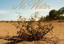 Libianca - No Water cover art