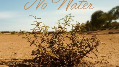 Libianca - No Water cover art