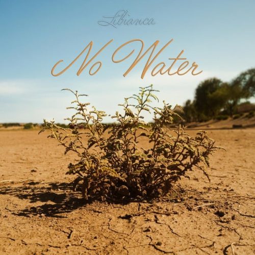 Libianca - No Water cover art