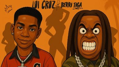 Lui Cruz - Wele Dance ft. Berri-Tiga cover art