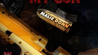 Malie Donn - My Gun cover art