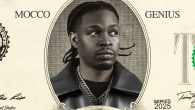 Mocco Genius - Maokoto cover art
