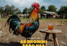 Obrafour - Akokonini Abro Nsa ft. S.K.Y De Tamale Boy cover art
