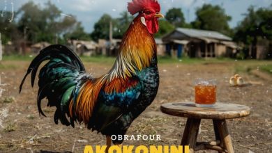 Obrafour - Akokonini Abro Nsa ft. S.K.Y De Tamale Boy cover art