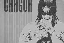 Ril Vin - Chagua cover art