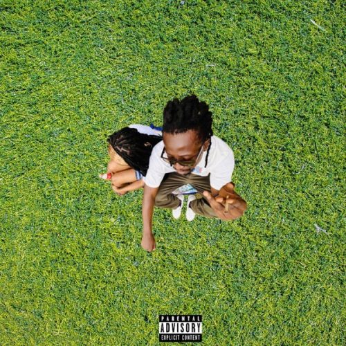 Sean Lifer - Yes or No cover art