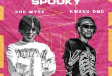 She Wyse – Wiase Ye Spooky ft. Kwaku DMC cover artwork