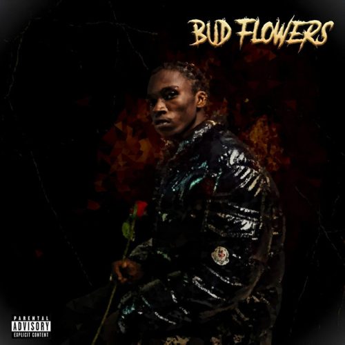 Toxic Lyrikali - Bud Flowers cover art