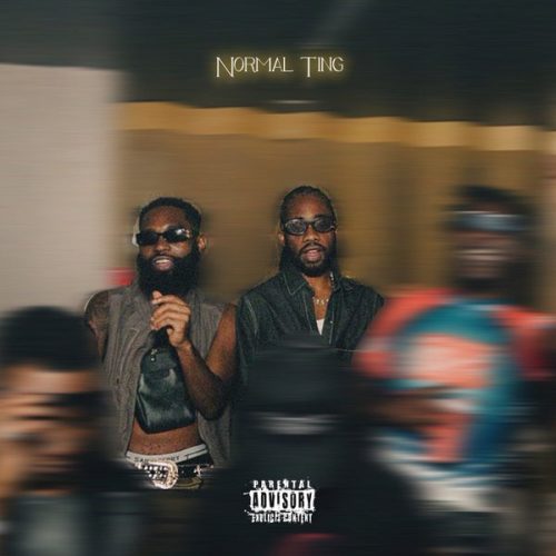 Yung D3mz ft. Seff - Normal Ting cover art