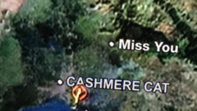 Cashmere Cat ft. Major Lazer & Tory Lanez - Miss You