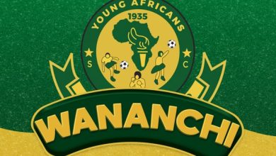 D voice - Wananchi
