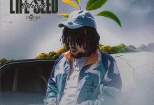 Intence - Life Seed