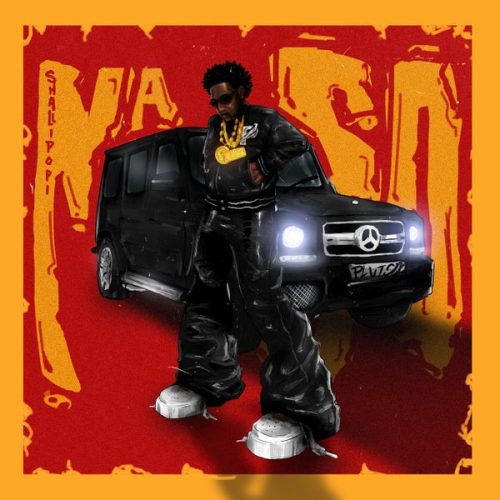 Shallipopi - Na So