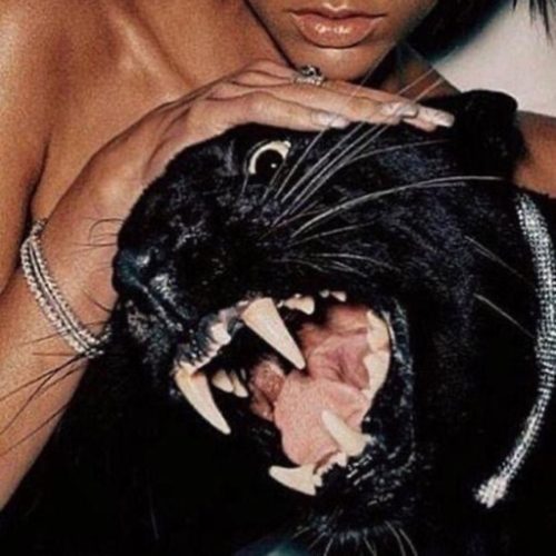 Twitch 4EVA – VYB W ME