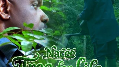 Nacee - Tree for Life