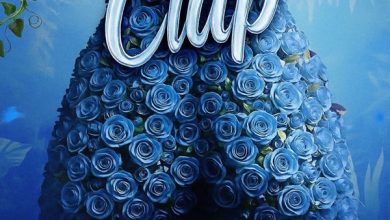 ROZE DON - CLAP
