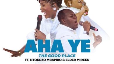 Diana Hamilton - Aha Ye (The Good Place)