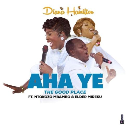 Diana Hamilton - Aha Ye (The Good Place)