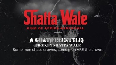 Shatta Wale - A Goat (Freestyle)
