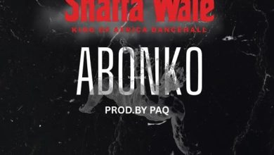 Shatta Wale - Abonko