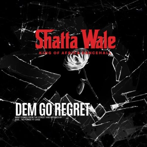 Shatta Wale - Dem Go Regret