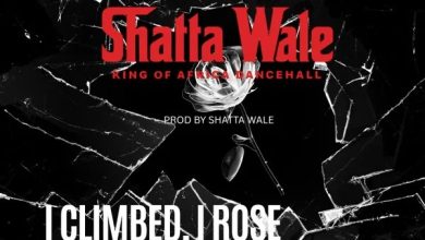 Shatta Wale - I Climbed , I Rose