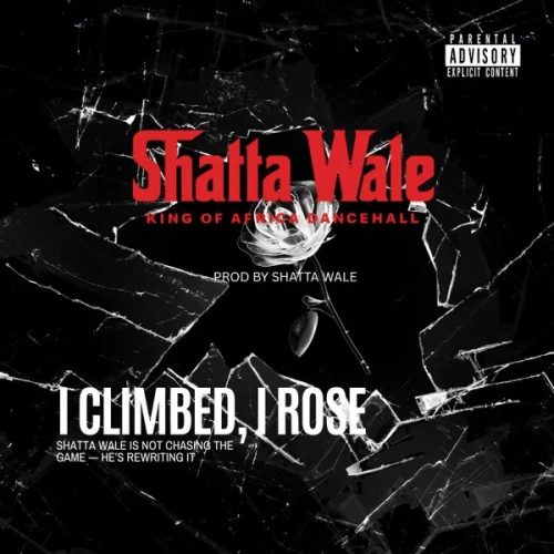 Shatta Wale - I Climbed , I Rose