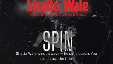 Shatta Wale - SPIN