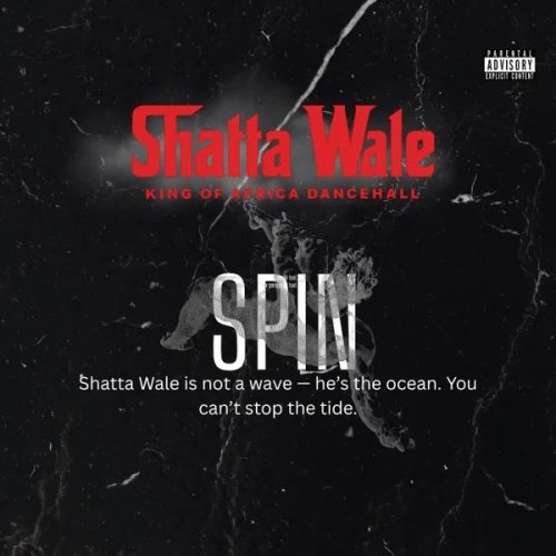 Shatta Wale - SPIN