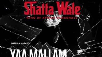 Shatta Wale - Yaa Mallam