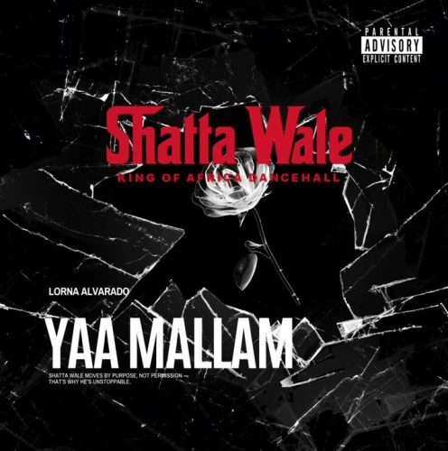 Shatta Wale - Yaa Mallam