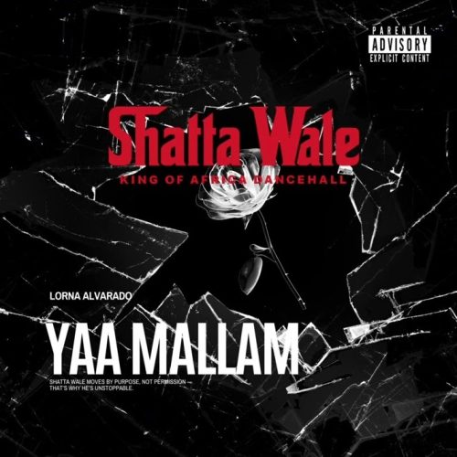 Shatta Wale - Yaa Mallam