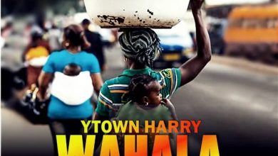 Y TOWN HARRY - Wahala