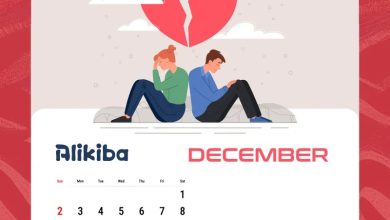 Alikiba - December