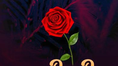 Bradez - DONDOO (GUITAR MIX) ft. Kwabena Kwabena