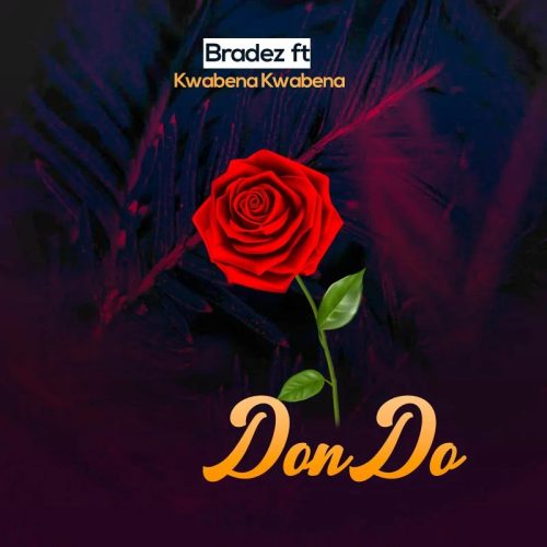 Bradez - DONDOO (GUITAR MIX) ft. Kwabena Kwabena