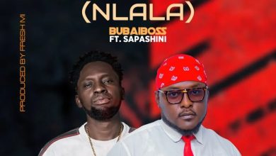 Buba iBoss - SIMPLE (NLALA) ft. Sapashini