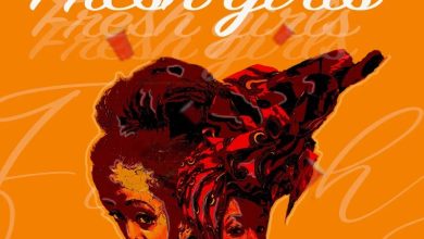 Yaw Ray - Fresh Girls