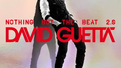 David Guetta ft. Sia - Titanium