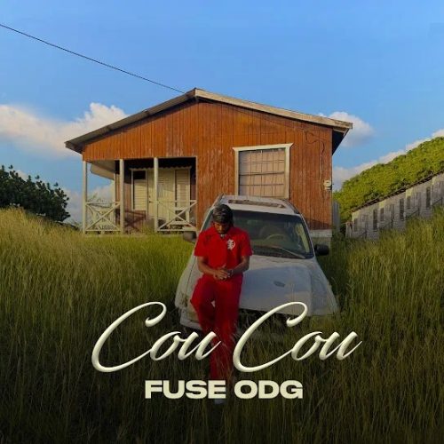 Fuse ODG – Cou Cou