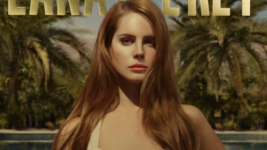 Lana Del Rey - Summertime Sadness