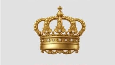 Shatta Wale – Big Lie Dat (DJ MAC Riddim)