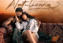 Diamond Platnumz – Natulizana