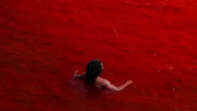 Elvinthedon – Beautiful Anthem ft. O’Kenneth & Reggie