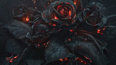 Future - Low Life ft. The Weeknd