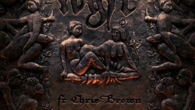 Gunna - wgft (Remix) ft. Chris Brown